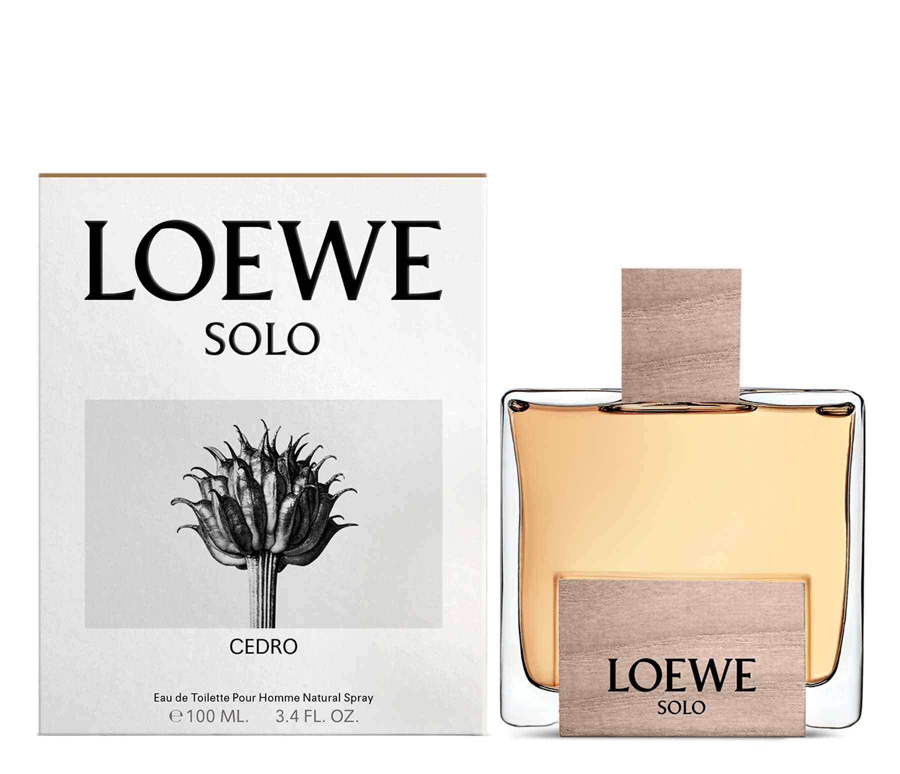 loewe 100